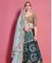 Picture of Classy Sea Green Lehenga Choli