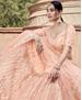 Picture of Sublime Peach Lehenga Choli