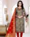 Picture of Admirable Grey Straight Cut Salwar Kameez