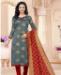 Picture of Magnificent Grey Straight Cut Salwar Kameez