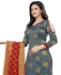 Picture of Magnificent Grey Straight Cut Salwar Kameez