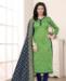 Picture of Shapely Light Green Straight Cut Salwar Kameez