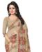 Picture of Admirable Chiku Casual Saree