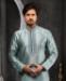 Picture of Sightly Grey Kurtas