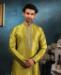 Picture of Resplendent Olive Green Kurtas