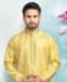 Picture of Shapely Lemon Kurtas