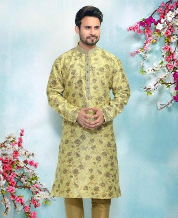 Picture of Splendid Light Green Kurtas