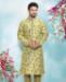 Picture of Splendid Light Green Kurtas