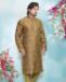 Picture of Fascinating Brown Kurtas