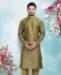 Picture of Pretty Mehendi Green Kurtas