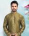 Picture of Pretty Mehendi Green Kurtas