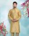 Picture of Admirable Cream Gold Kurtas