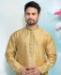 Picture of Admirable Cream Gold Kurtas