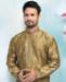 Picture of Ravishing Copper Gold Kurtas