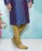 Picture of Sightly Blue Kurtas