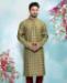 Picture of Shapely Green Kurtas