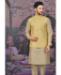 Picture of Amazing Beige Kurtas