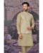 Picture of Alluring Beige Kurtas