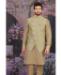 Picture of Gorgeous Chiku Kurtas