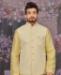 Picture of Well Formed Lemon Kurtas