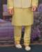 Picture of Well Formed Lemon Kurtas