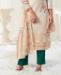 Picture of Stunning Multi Cotton Salwar Kameez