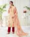 Picture of Good Looking Multi Cotton Salwar Kameez