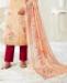 Picture of Good Looking Multi Cotton Salwar Kameez