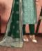 Picture of Fine Light Green Straight Cut Salwar Kameez