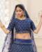 Picture of Charming Nevy Blue Lehenga Choli