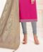 Picture of Enticing Rani Straight Cut Salwar Kameez