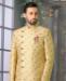 Picture of Charming Beige/Gold Indo Western