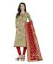 Picture of Delightful Beige Straight Cut Salwar Kameez