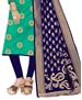 Picture of Sightly Light Green Straight Cut Salwar Kameez