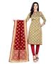 Picture of Comely Beige Straight Cut Salwar Kameez