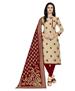 Picture of Pretty Beige Straight Cut Salwar Kameez