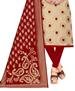 Picture of Pretty Beige Straight Cut Salwar Kameez