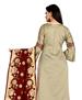 Picture of Lovely Beige Straight Cut Salwar Kameez