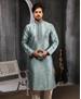 Picture of Sightly Grey Kurtas