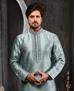 Picture of Sightly Grey Kurtas