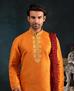 Picture of Shapely Orange Kurtas