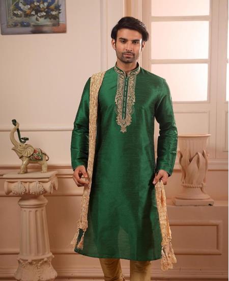 Picture of Sightly Green Kurtas