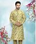 Picture of Splendid Light Green Kurtas