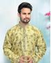 Picture of Splendid Light Green Kurtas