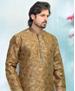 Picture of Fascinating Brown Kurtas