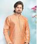 Picture of Admirable Peach Kurtas