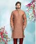 Picture of Delightful Peach Kurtas