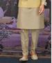 Picture of Amazing Beige Kurtas