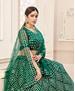 Picture of Lovely Green Lehenga Choli