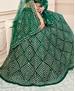 Picture of Lovely Green Lehenga Choli